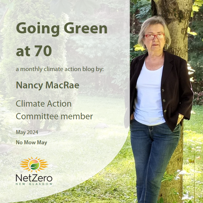 going green no mow may